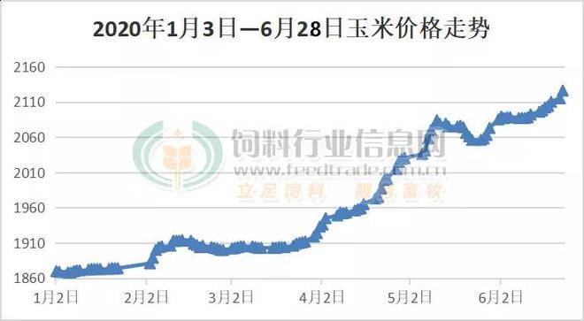 玉米价格继续上涨深加工企业和饲料企业纷纷拉开涨价大幕(图1)