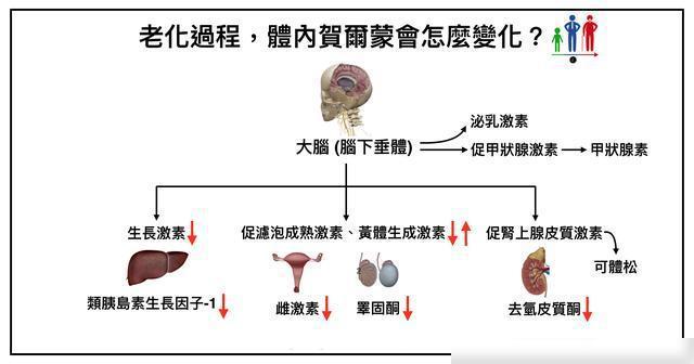 CQ9电子25岁「俄罗斯奥黛丽赫本」的身材和颜值：太不真实了！(图9)